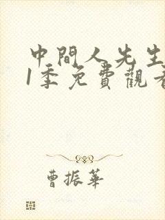 中间人先生 第1季免费观看完整版高清