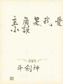 主角是我爱罗的小说