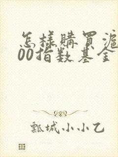 怎样购买沪深300指数基金定投