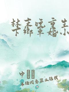 林末晚重生七零下乡军婚小说