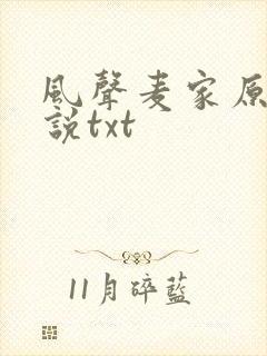 风声麦家原著小说txt