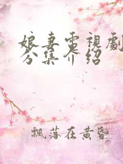 娘妻电视剧剧情分集介绍