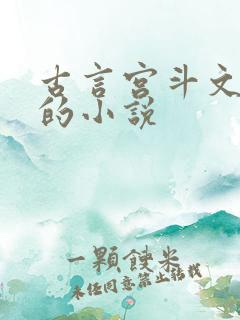 古言宫斗文笔好的小说