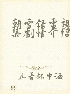 朝雪录电视剧分集剧情介绍