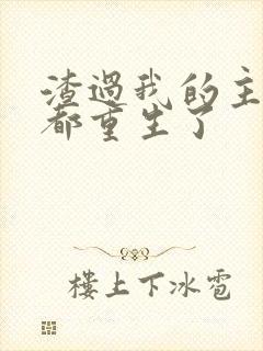 渣过我的主角全都重生了