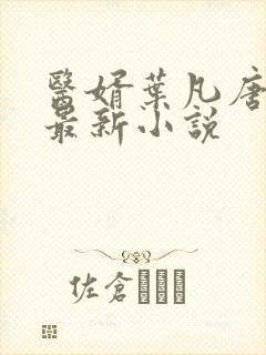 医婿叶凡唐若雪最新小说