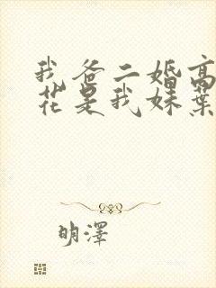 我爸二婚高冷校花是我妹叶丹琼扮演者