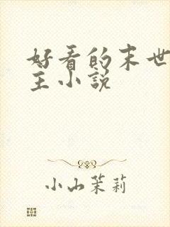 好看的末世双男主小说