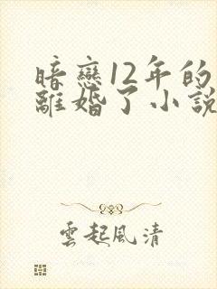 暗恋12年的他离婚了小说免费阅读无弹窗