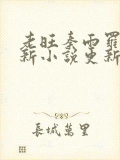 老旺秦雨罗明最新小说更新