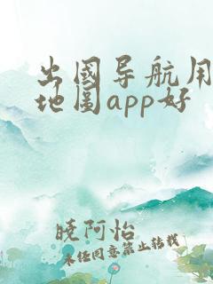 出国导航用哪个地图app好