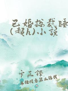 已婚总裁睡秘书(超h)小说