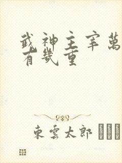 武神主宰万神诀有几重