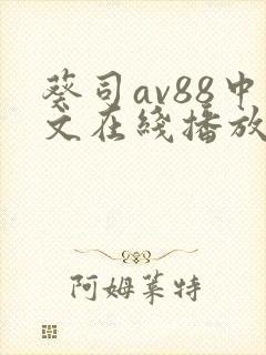 葵司av88中文在线播放