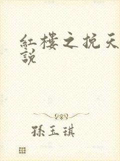 红楼之挽天倾小说