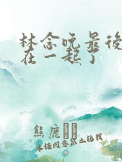 林念晚最后和谁在一起了