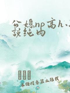 公媳np高h小说纯肉