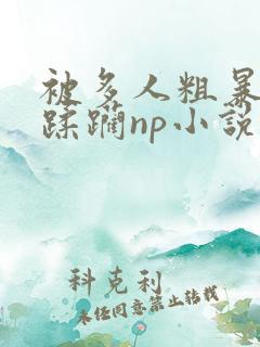 被多人粗暴进入蹂躏np小说