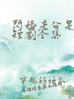 闪婚老公是豪门短剧全集