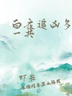 白夜追凶多少集一共