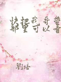 快把我哥带走在那里可以看