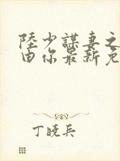 陆少谋妻之婚不由你最新免费阅读