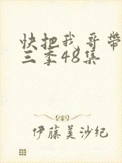 快把我哥带走第三季48集
