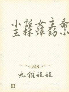 小说女主乔念男主林烨的小说