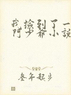 我捡到了一对豪门少爷小说