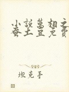 小说万相之王天蚕土豆免费全文阅读