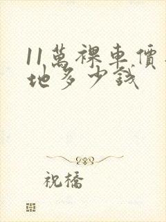 11万裸车价落地多少钱