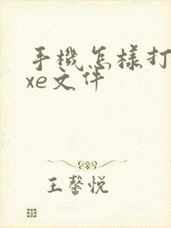 手机怎样打开exe文件