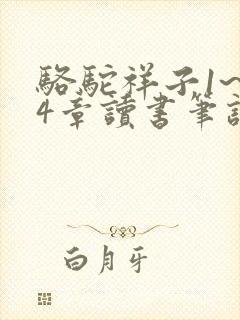 骆驼祥子1~24章读书笔记