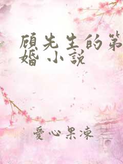 顾先生的第一宠婚 小说