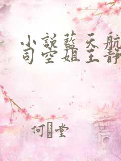 小说蓝天航空公司空姐王静