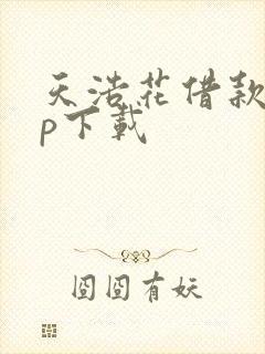 天浩花借款app下载