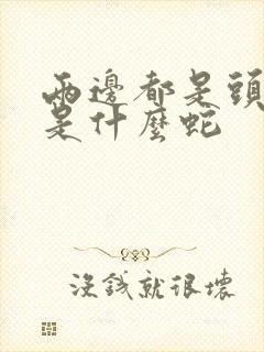 两边都是头的蛇是什么蛇