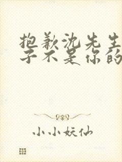 抱歉沈先生这孩子不是你的