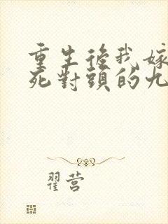 重生后我嫁给了死对头的九叔