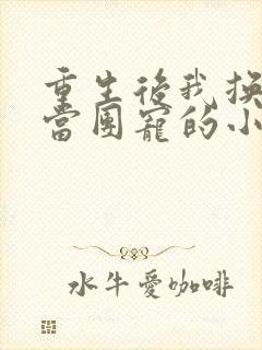 重生后我换一家当团宠的小说