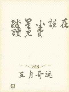 踏星小说在线阅读免费