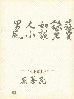 男人如铁苏柔林风小说免费阅读