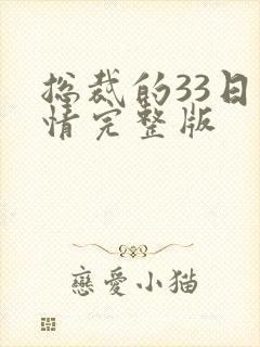 总裁的33日索情完整版