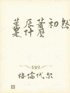 叶辰萧初然结局是什么