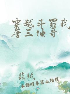穿越斗罗我成了唐三他哥