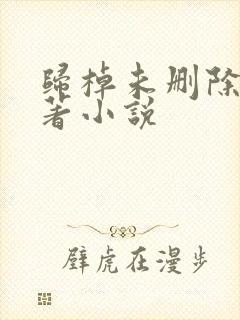 归棹未删除版原著小说