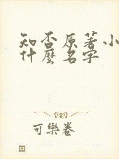 知否原著小说叫什么名字