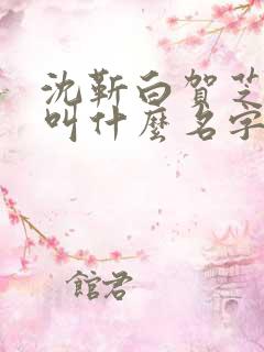 沈靳白贺芝小说叫什么名字啊