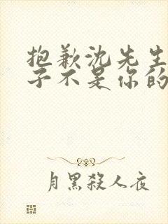 抱歉沈先生,孩子不是你的免费