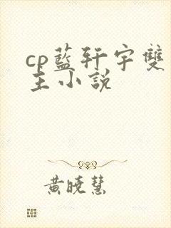 cp蓝轩宇双男主小说